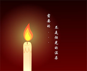 我需要情人节的气氛flash动画